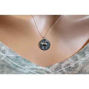 Sterling Silver Horse Coin Charm Necklace, Silver Horse Necklace